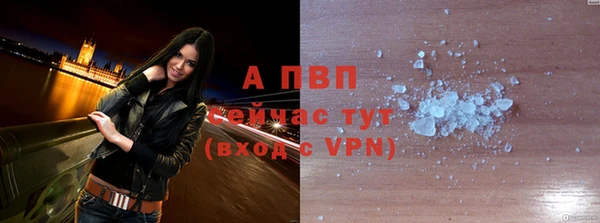 прущие грибы Беломорск
