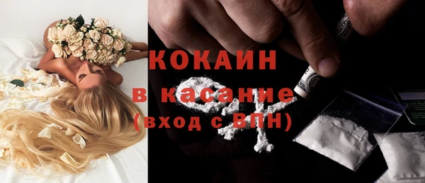 прущие грибы Беломорск