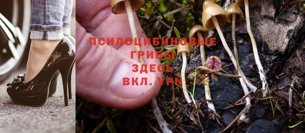 прущая мука Балахна