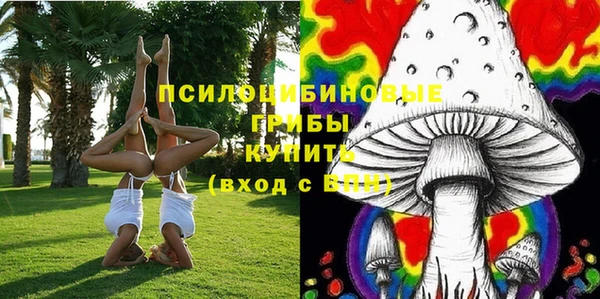 дмт Белокуриха