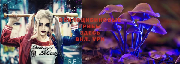 мяу мяу мука Балабаново