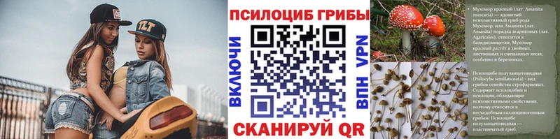 Галлюциногенные грибы прущие грибы  Холмск 